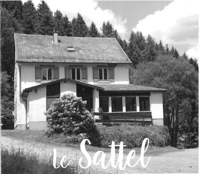 thumbnail_photo Sattel plaquette
