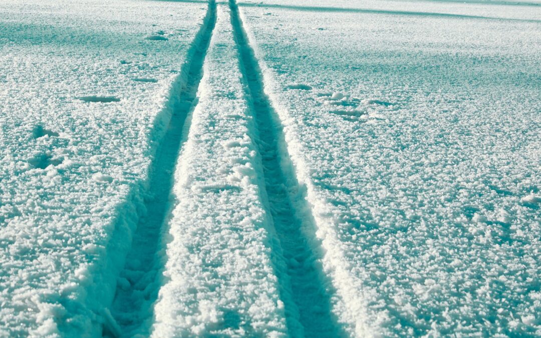 Discerner le chemin…